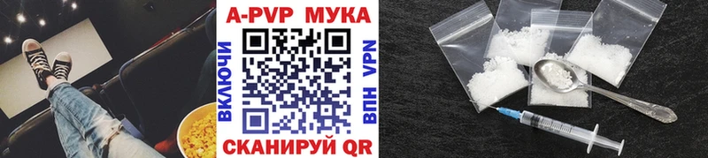 купить Гаджиево KRAKEN вход A PVP СК