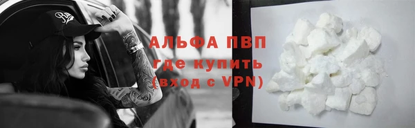 спиды Алзамай